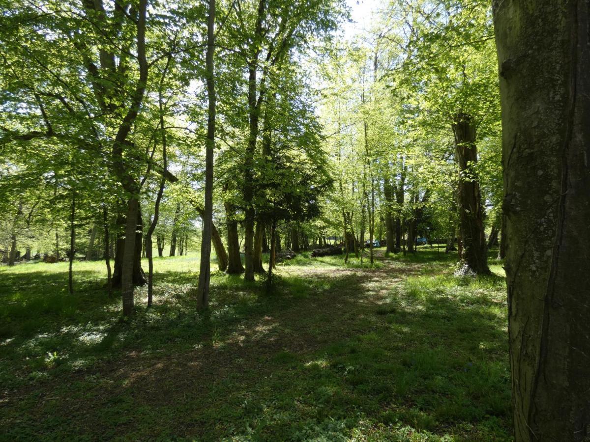 Domaine De Chatenay - Le Mans Saint-Saturnin  Luaran gambar